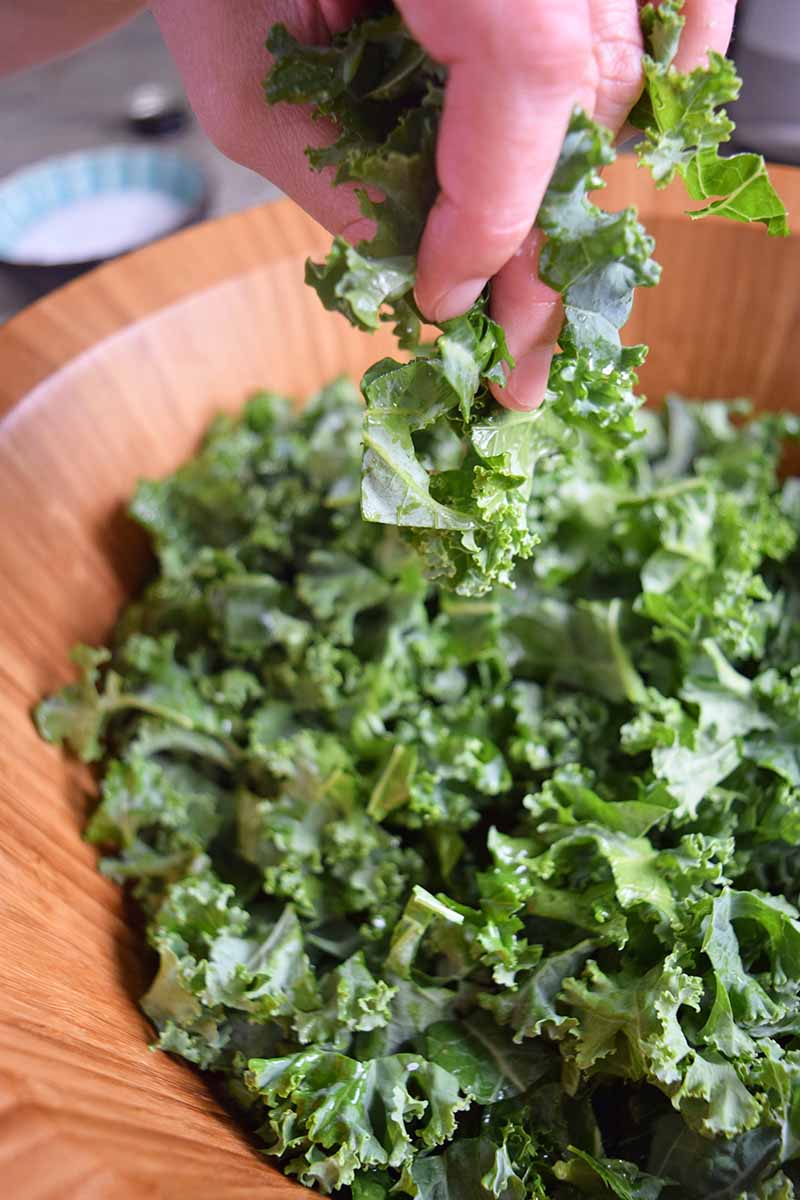 A hand massages kale in a large wooden salad bowl on a gray countertop, with a small ceramic bowl of grated cheese in soft focus in the background.