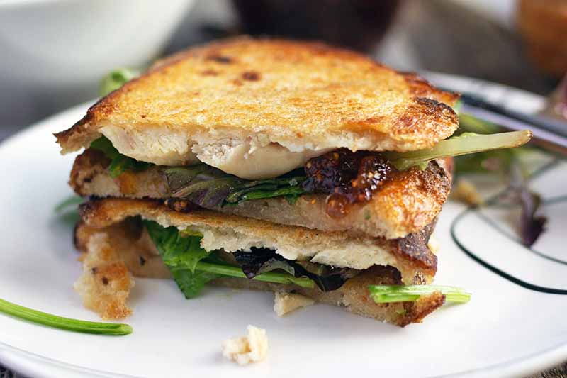 Horizontal image of two golden brown toasted halves of a sandwich with salad greens, fig jam, goat cheese, and chicken, on a white plate.