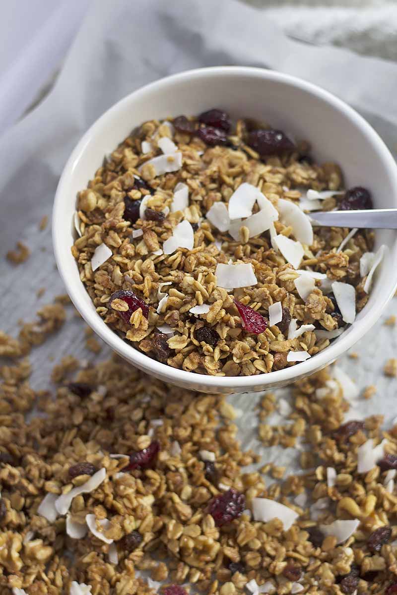 Vertical image of a white bowl full of a mixed dried fruit breakfast cereal.