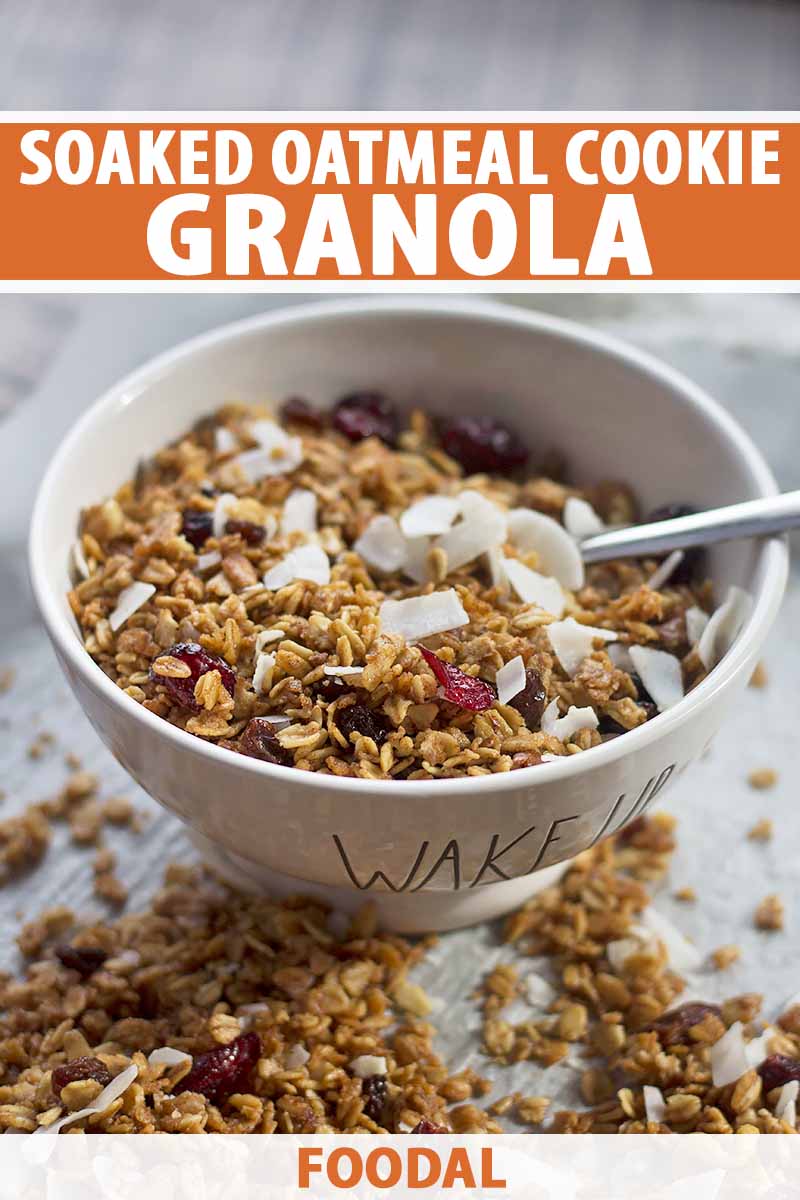 Vertical image of a bowl with granola and a spoon, with text on the top and bottom of the image.