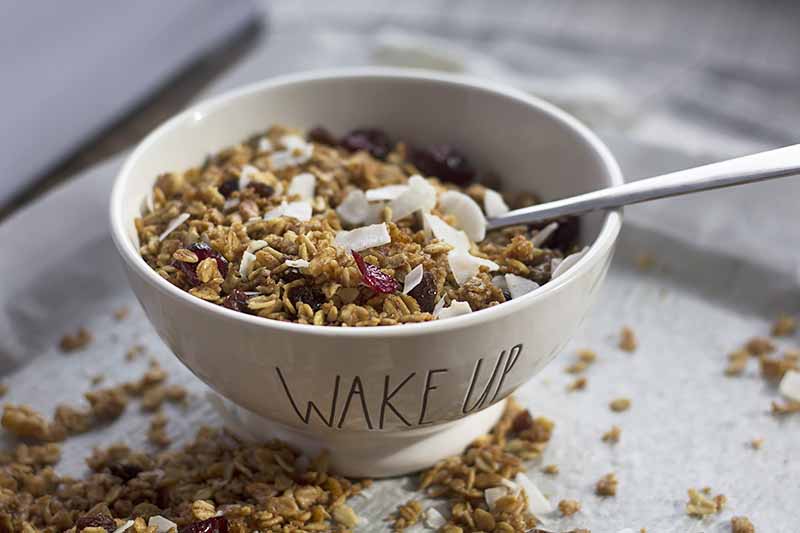 Horizontal image of a bowl of dried fruit and coconut granola with a metal spoon.