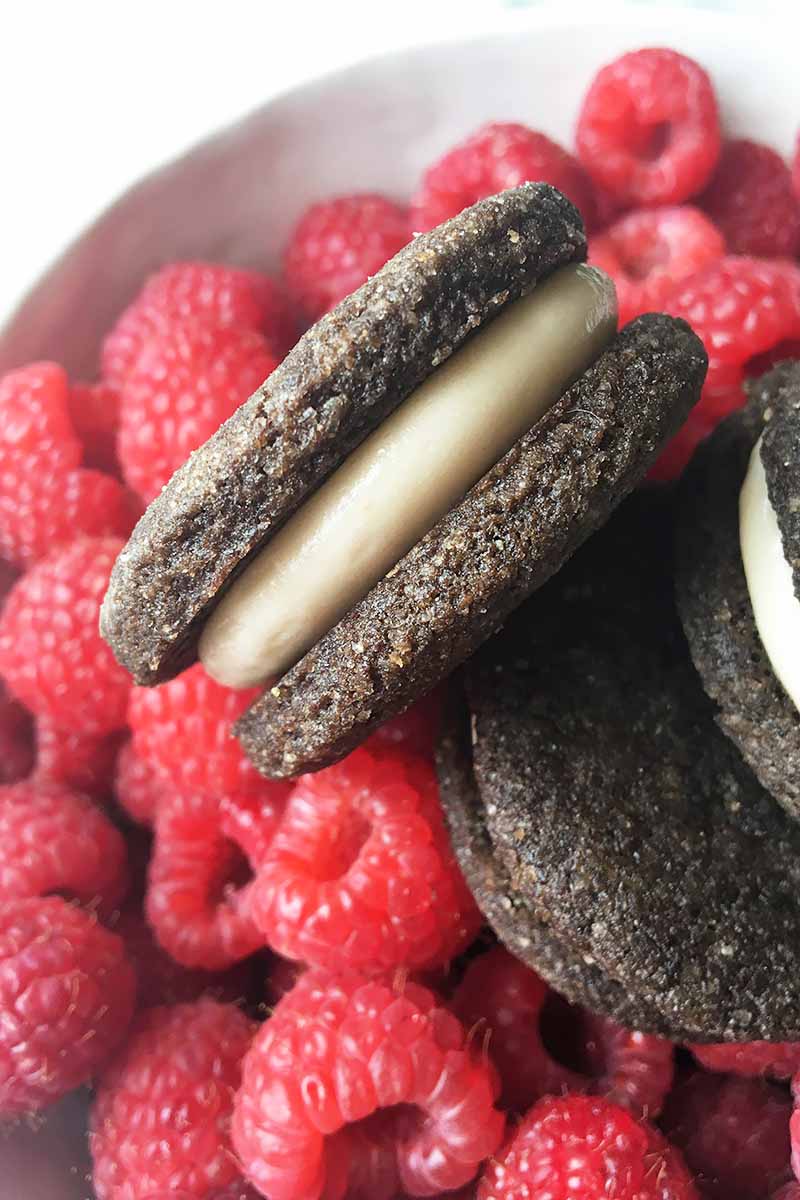 Vertical image of one cookie with a creamy filling on top of raspberries.