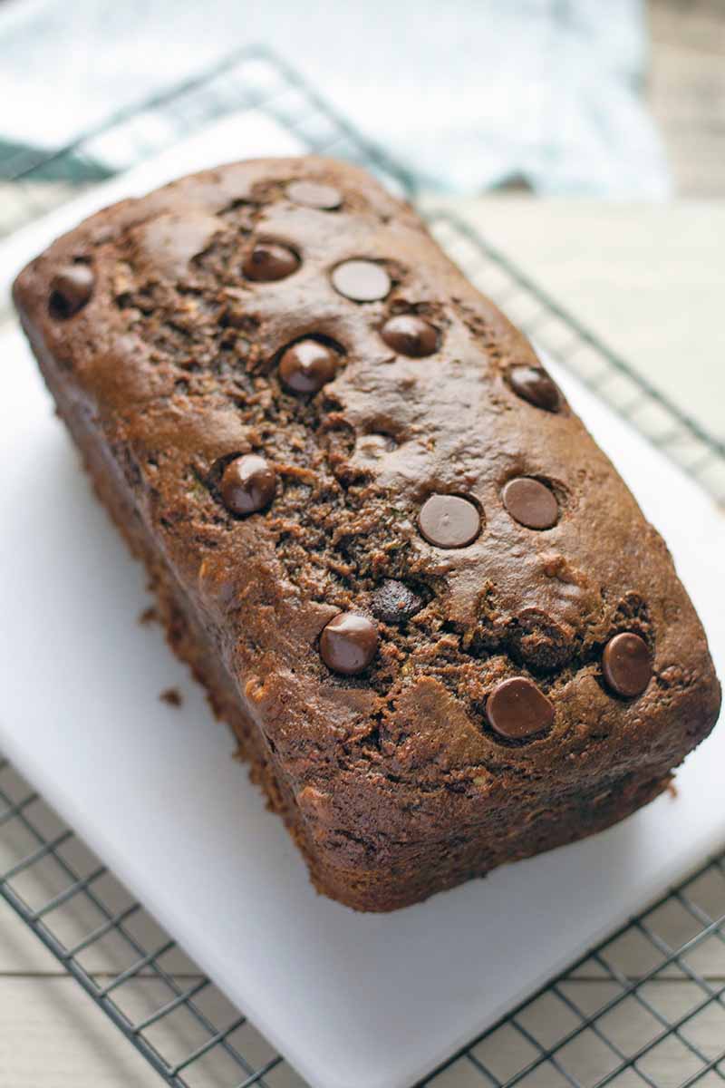Vertical image of a loaf of chocolate quick bread on a white plastic cutting board on top of a metal cooling rack, on a beige countertop with a white cloth in the background.