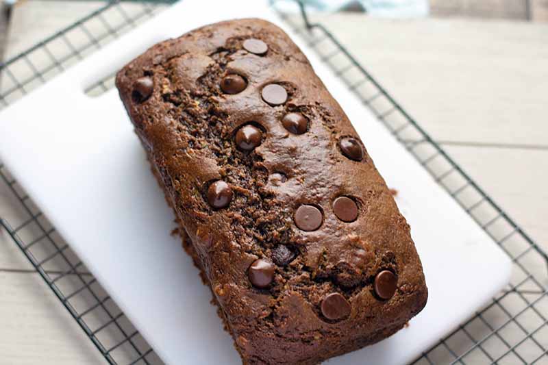 Horizontal oblique overhead image of a loaf of chocolate quick bread on a white plastic cutting board, on top of a metal cooling rack on a white surface.