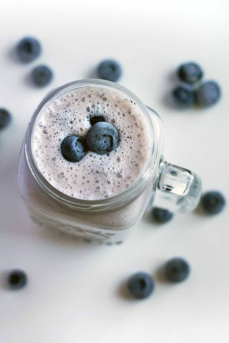 Vertical image of a glass jar with a handle, with a smoothie topped with blueberries.