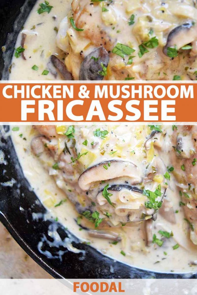 Vertical overhead image of a cast iron pan of chicken fricassee with mushrooms, leeks, and fresh herbs, in a beige cream sauce, printed with orange and white text near the middle and at the bottom of the frame.