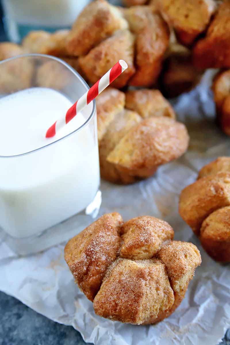 Vertical oblique overhead image of monkey bread muffins on a piece of parchment paper, with a white glass of milk with a paper red and white striped straw, on a blue-gray surface.