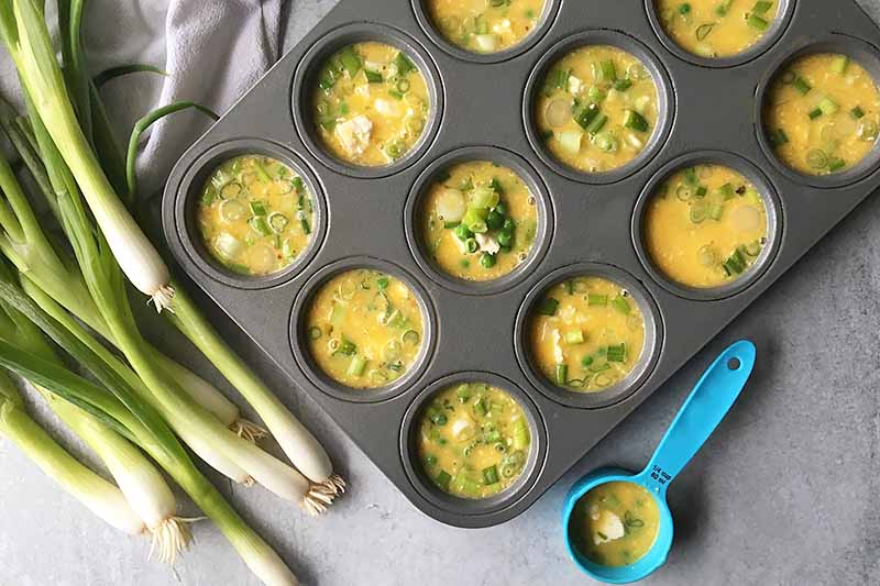 Horizontal image of a mini muffin pan with an unbaked yellow mixture with green veggies, next to a blue measuring cup.