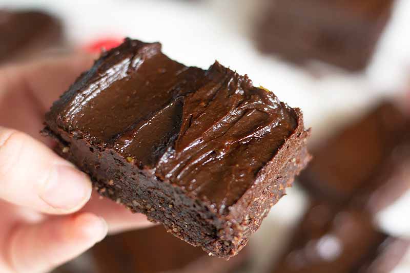 Horizontal image of a hand holding a square of brownie topped with a thick chocolate frosting.