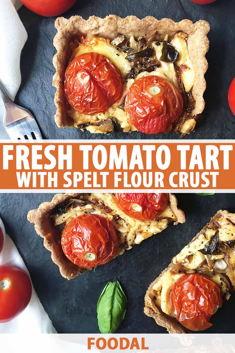 Vertical top down image of sliced pieces of a tomato pastry, with text in the middle and bottom of the image.