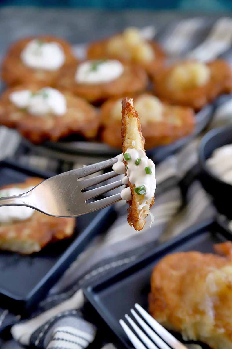 Vertical image of a forkful of golden brown potato pancake with sour cream and chives in the foreground, with more of the fritters arranged on plates in soft focus in the background, on a gray, black, and white striped cloth on a gray surface.