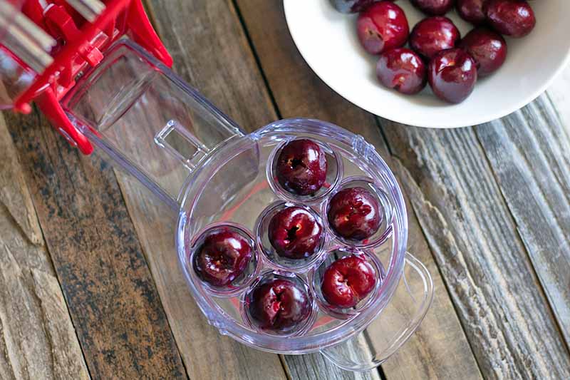 A clear and red plastic pitting device with multiple slots has been used to remove the pits from six cherries at once, with more of the fresh fruit in a small white bowl to the right, on an unfinished wood surface.