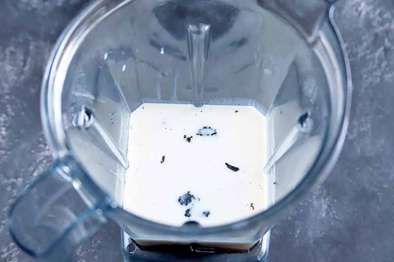 Milk and vanilla bean seeds in a plastic blender pitcher, on a gray surface.