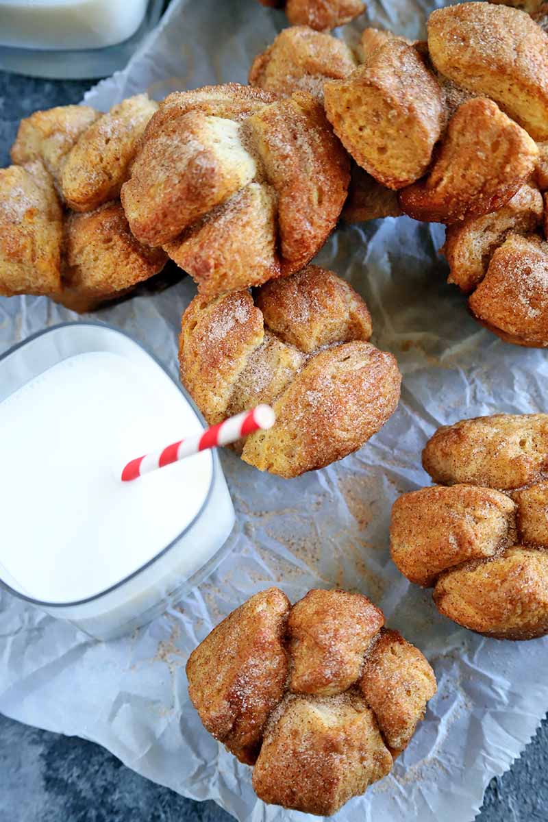 Overhead vertical image of monkey bread muffins piled on a piece of parchment paper on a blue-gray surface, with two glasses of milk, one with a white and red paper straw.