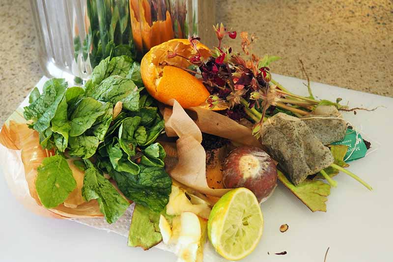 Horizontal head-on image of a pile of wilted flowers, citrus peels, greens, used teabags, and other forms of kitchen waste on a white plastic cutting board, with a stainless steel pail for collection in the background, on a beige countertop.