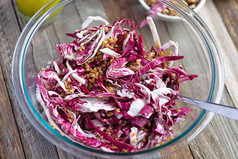 Overhead horizontal image of a mixture of thinly sliced radicchio and cooked einkorn wheat berries in a clear glass bowl, on a wood surface.