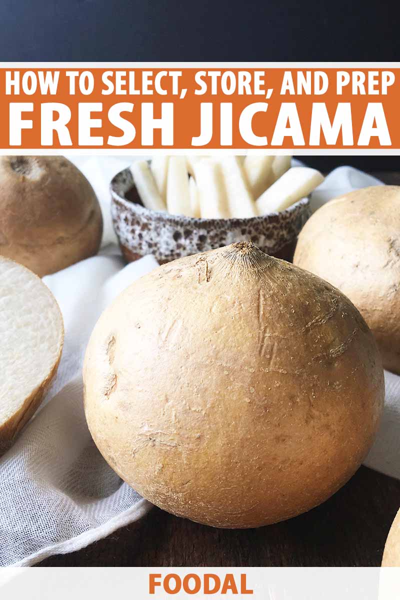 Vertical image of whole jicama vegetables and a bowl of jicama fries, with text on the top and bottom of the image.