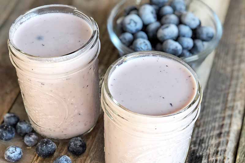 Horizontal image of two glass jars filled with blueberry kefir.