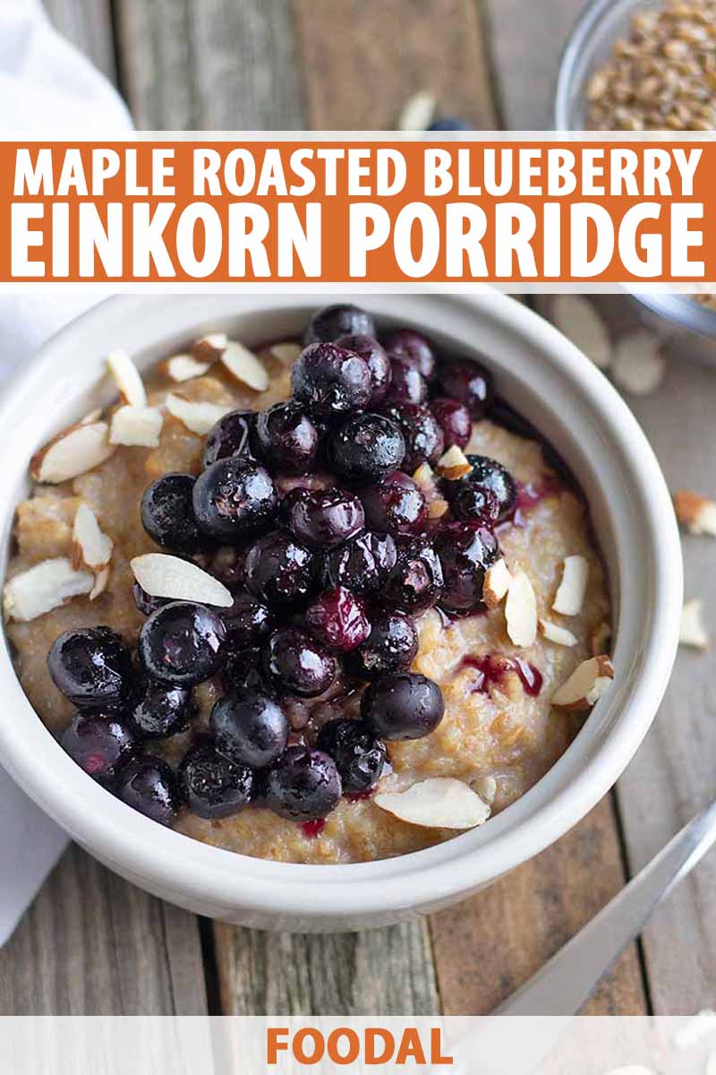 Overhead vertical image of a white dish of einkorn porridge topped with roasted blueberries, on an unfinished wood surface with a white cloth, a small bowl of grain, a spoon, and scattered slivered almonds, printed with white and orange text in the top third and at the bottom of the frame.