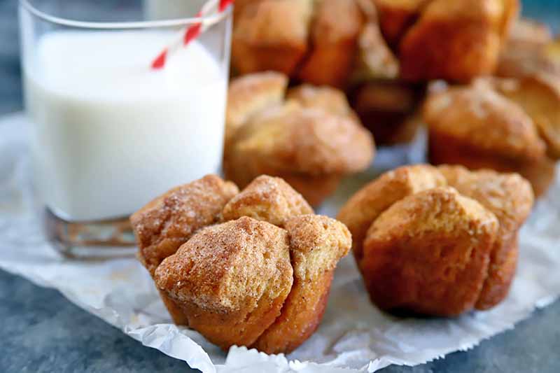 Horizontal image of golden brown monkey bread muffins on a piece of parchment paper with a glass of milk, with a striped red and white straw stuck into the beverage, on a blue-gray surface.