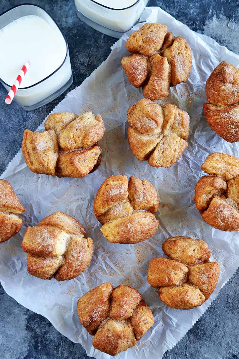 Vertical overhead image of ten monkey bread muffins arranged roughly in rows on a piece of white parchment paper, with two glasses of milk and one white and red striped straw, on a blue-gray surface with white streaks.