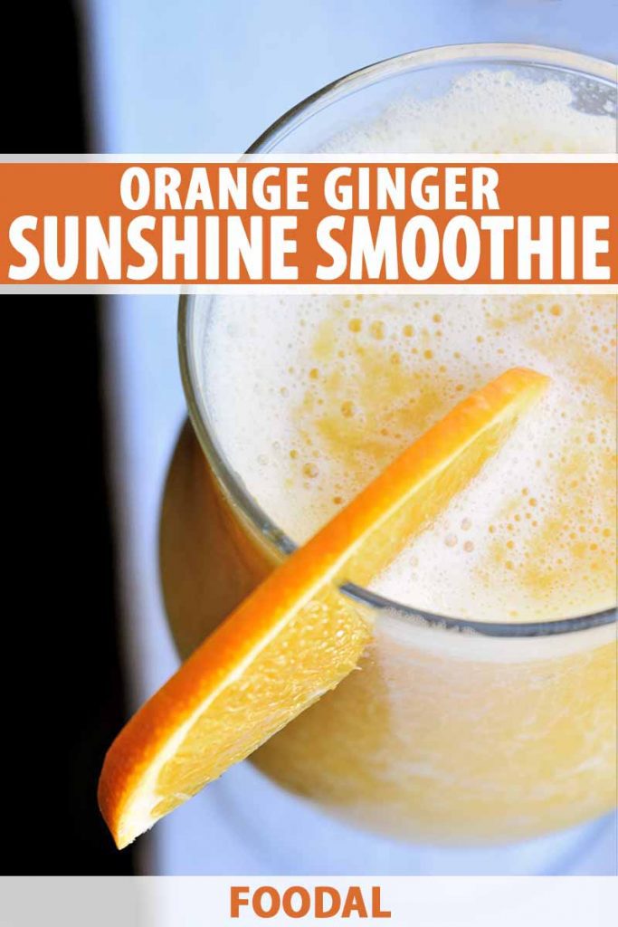 Vertical oblique overhead image of glass filled with a smoothie garnished with a thin orange slice, on a white surface with a black background, printed with orange and white text in the top third and at the bottom of the frame.