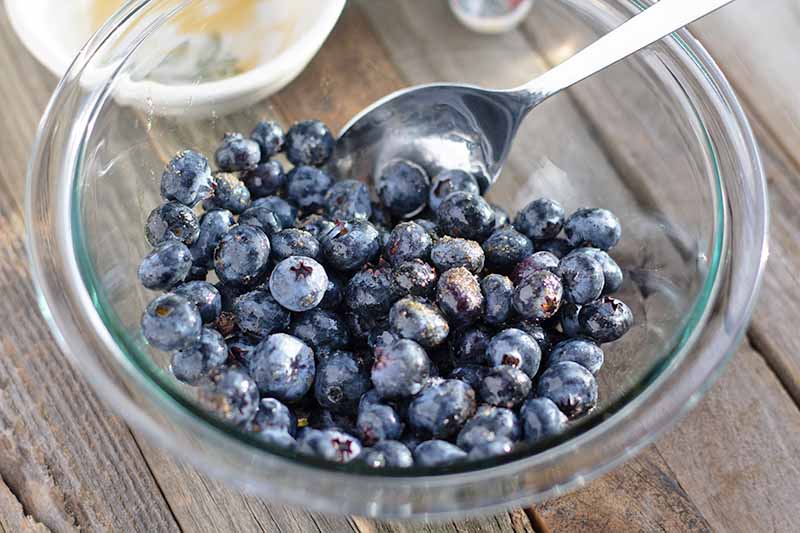 Oblique overhead horizontal image of a clear glass bowl of fresh blueberries with a spoon, on an unfinished wood surface with another smaller white dish in the background.
