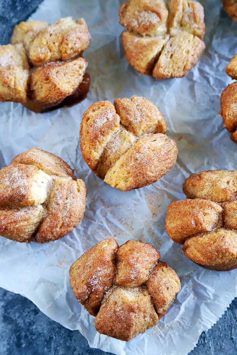 Vertical overhead closely cropped image of eight cinnamon and sugar monkey bread muffins on a crumpled piece of white parchment paper, on a blue-green surface.