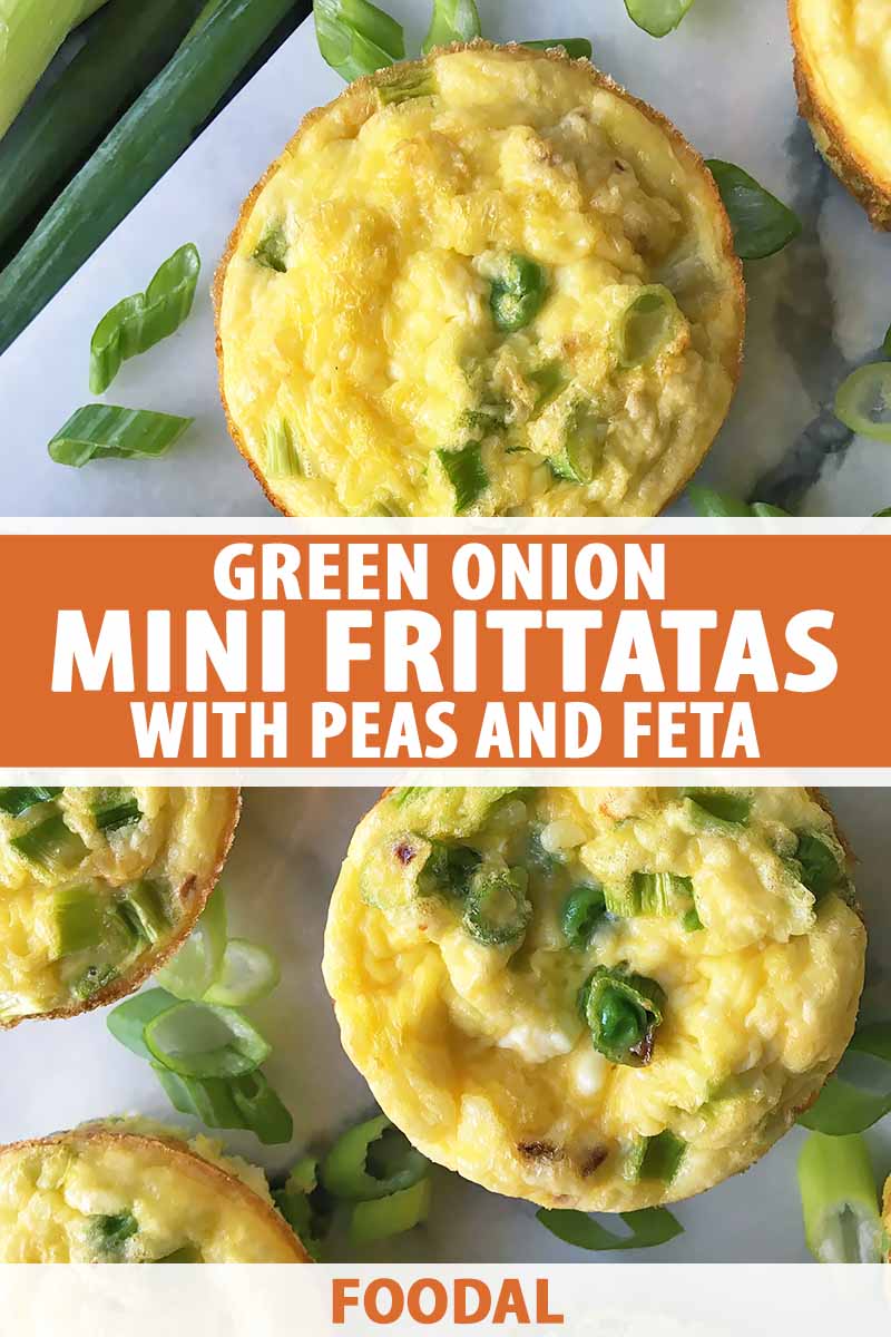 Vertical top-down image of two mini frittatas, with text in the center and bottom of the image.