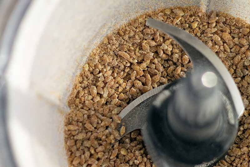 Overhead closely cropped image of coarsely ground einkorn wheat berries in a food processor.