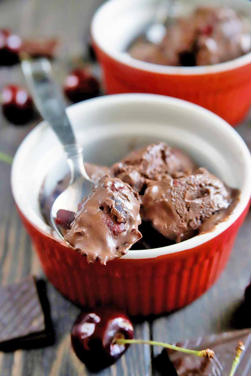 Vertical image of a spoon on a ramekin with a thick cocoa and fruit frozen dessert.