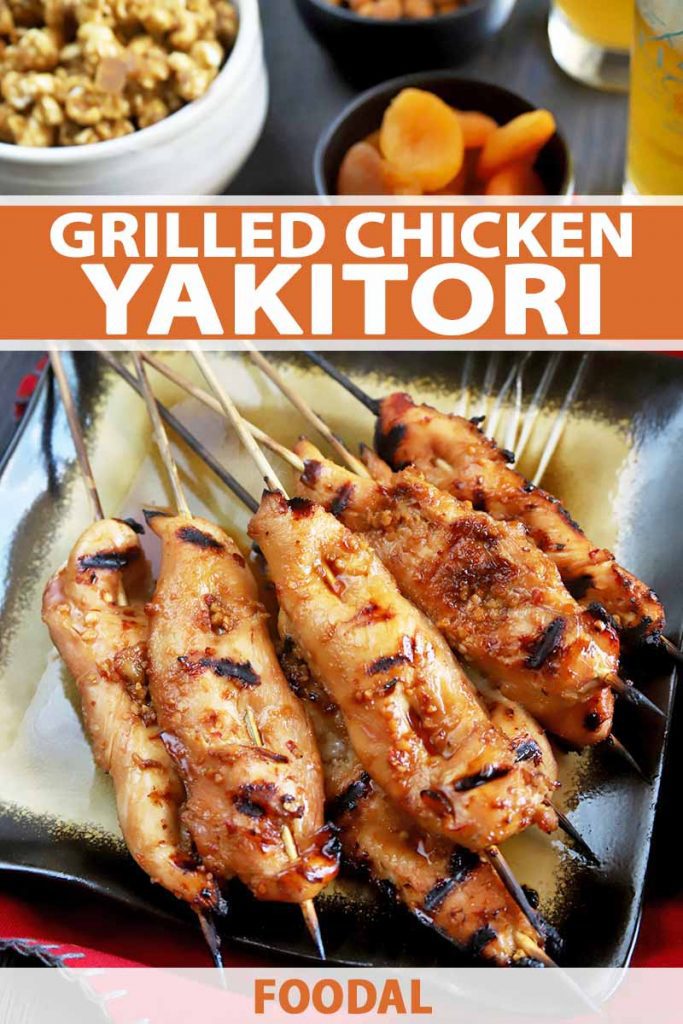 Vertical overhead image of a gold and black square plate of grilled chicken yakitori on bamboo skewers, arranged so they are all facing the same direction, on a wood table on top of a red cloth, with bowls of snack and dried fruit, and glasses of beer, printed with orange and white text near the middle and at the bottom of the frame.