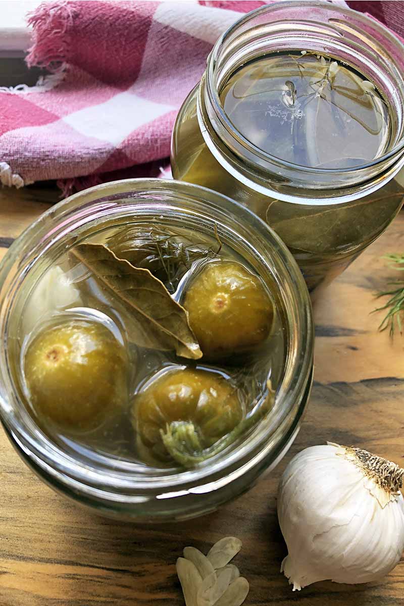 Vertical oblique overhead image of two jars of pickles in brine with a bay leaf floating on top, on a wood surface with a red and white checkered cloth, and thinly sliced garlic beside a full bulb.