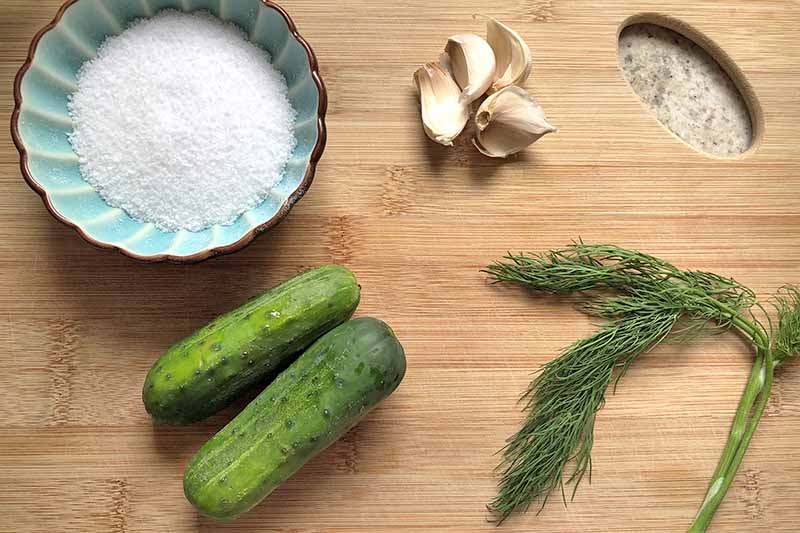 Overhead horizontal image of a wooden cutting board with a hand hold cutout at the top right, topped with a blue scalloped ceramic dish of coarse salt, two small cucumbers, several cloves of garlic, and a sprig of fresh dill.