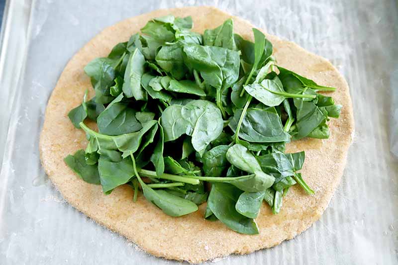 Horizontal image of a rolled out circle of pizza dough topped with raw baby spinach, on a white paper surface on a baking sheet.