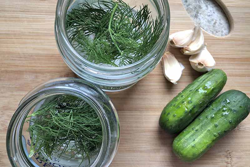 Overhead closely cropped horizontal image of two glass jars with fresh dill at the bottom, on a wood cutting board with two pickling cucumbers and four cloves of garlic.
