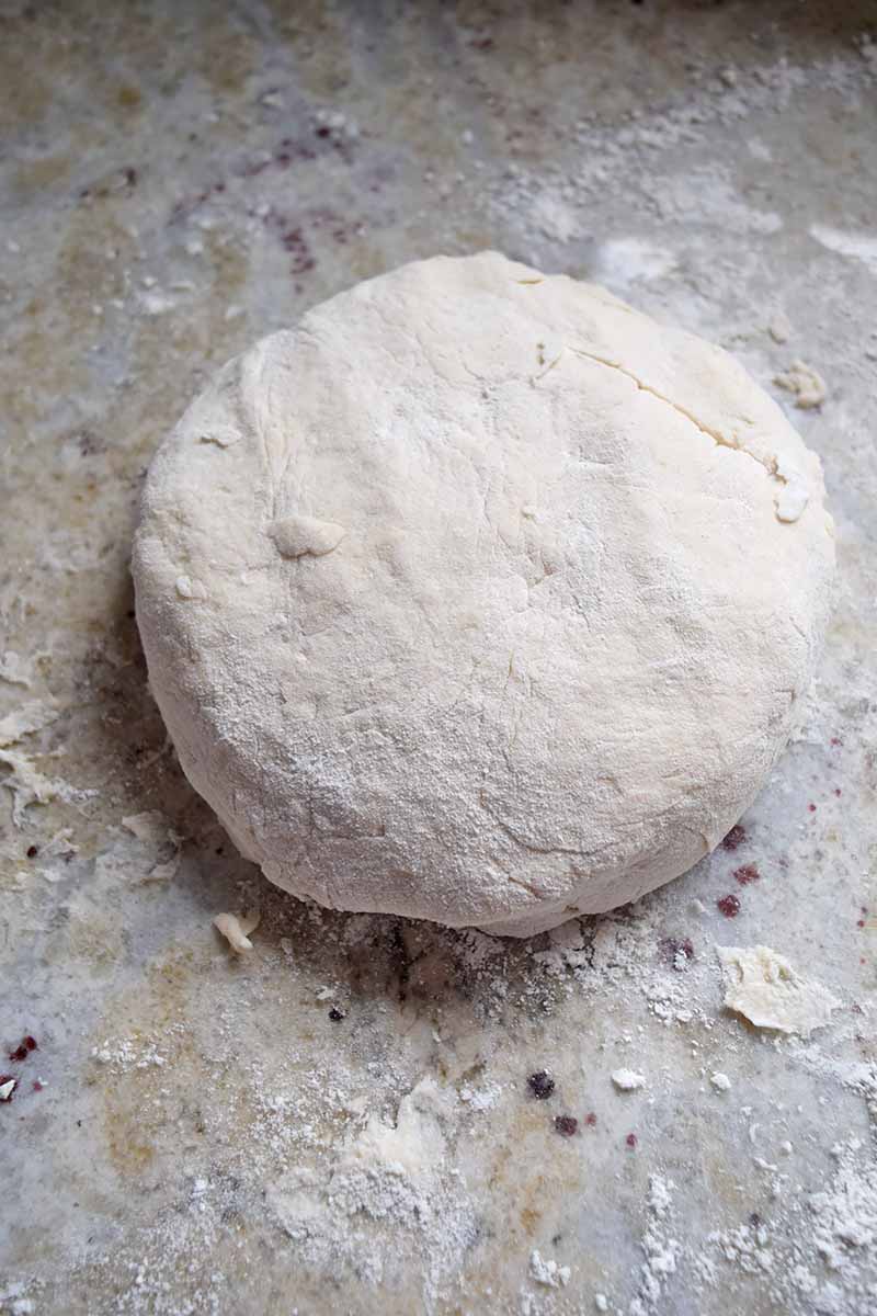 Vertical image of a round of fresh dough on a floured surface.