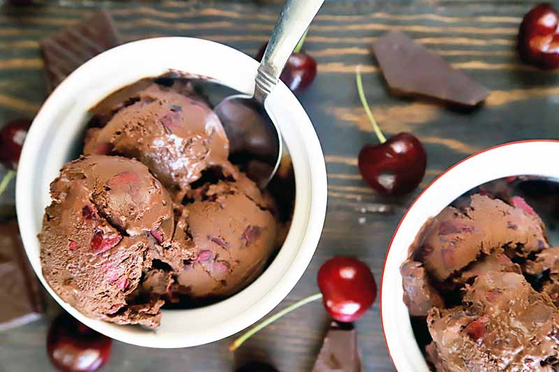 Horizontal top-down image of two ramekins with a dark chocolate frozen dessert surrounded by fresh fruit.