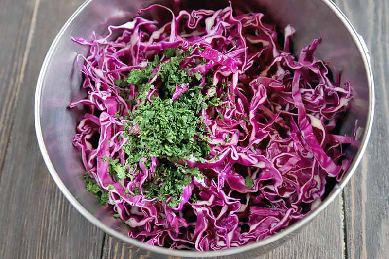 Overhead closely cropped horizontal image of a stainless steel bowl of shredded red cabbage with finely chopped fresh cilantro on top, on a brown wood surface.