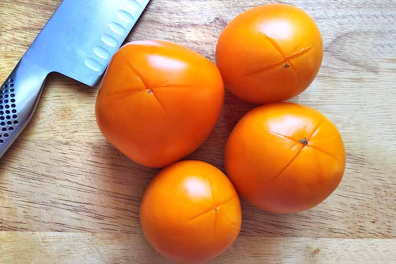 Four golden tomatoes are arranged on a wooden cutting board with the blossom side up, with X's scored into the bottom of the skin on each, and a knife to the left of the frame.