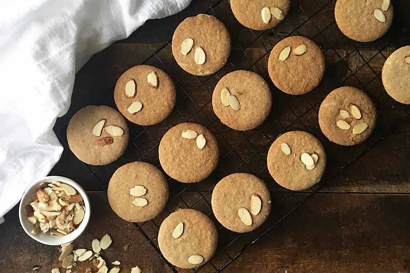 Horizontal image of baked cookie circles topped with almonds on a cooling rack.
