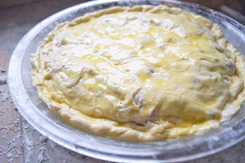 Horizontal image of an unbaked pastry in a pie dish with a yellow wash on top.