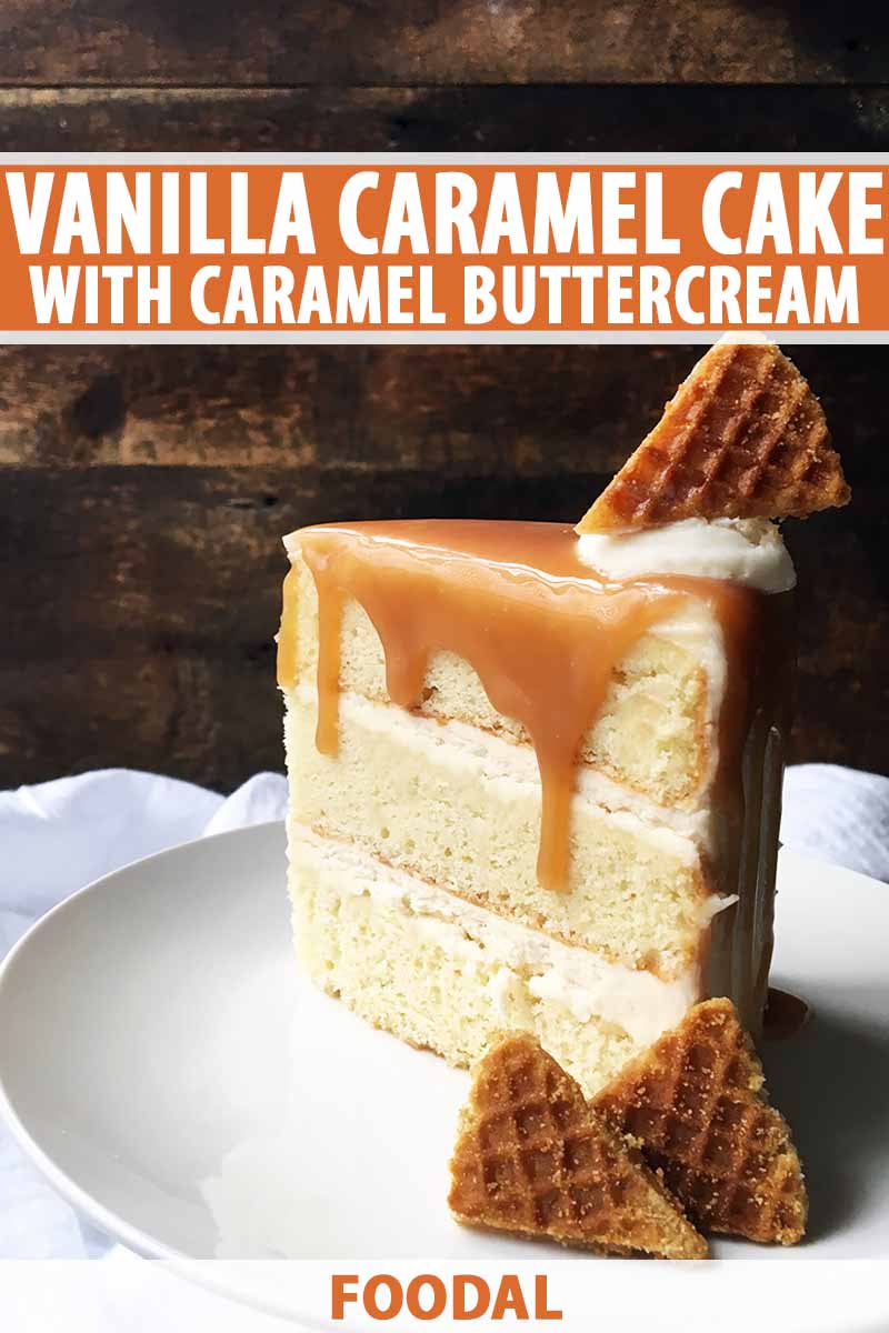 Vertical image of a slice of vanilla cake with caramel sauce, with text on the top and bottom of the image.