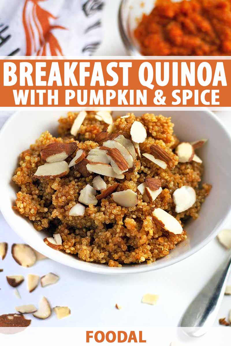 Overhead oblique vertical image of a white bowl of quinoa with pumpkin and warming spices, topped with almond slices, on a white surface with scattered nuts, a spoon, a fall-themed white dish towel, and a small bowl of orange squash puree, printed with orange and white text near the midpoint and at the bottom of the frame.