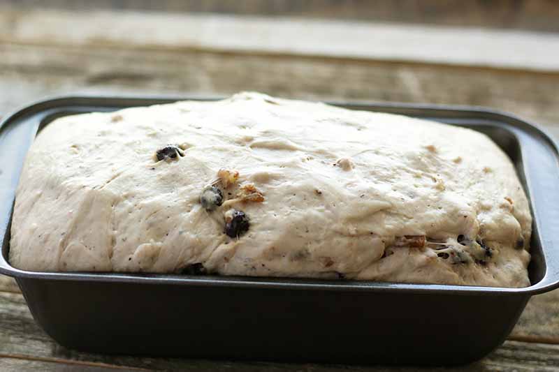 Horizontal image of a risen dough loaf in a loaf pan.
