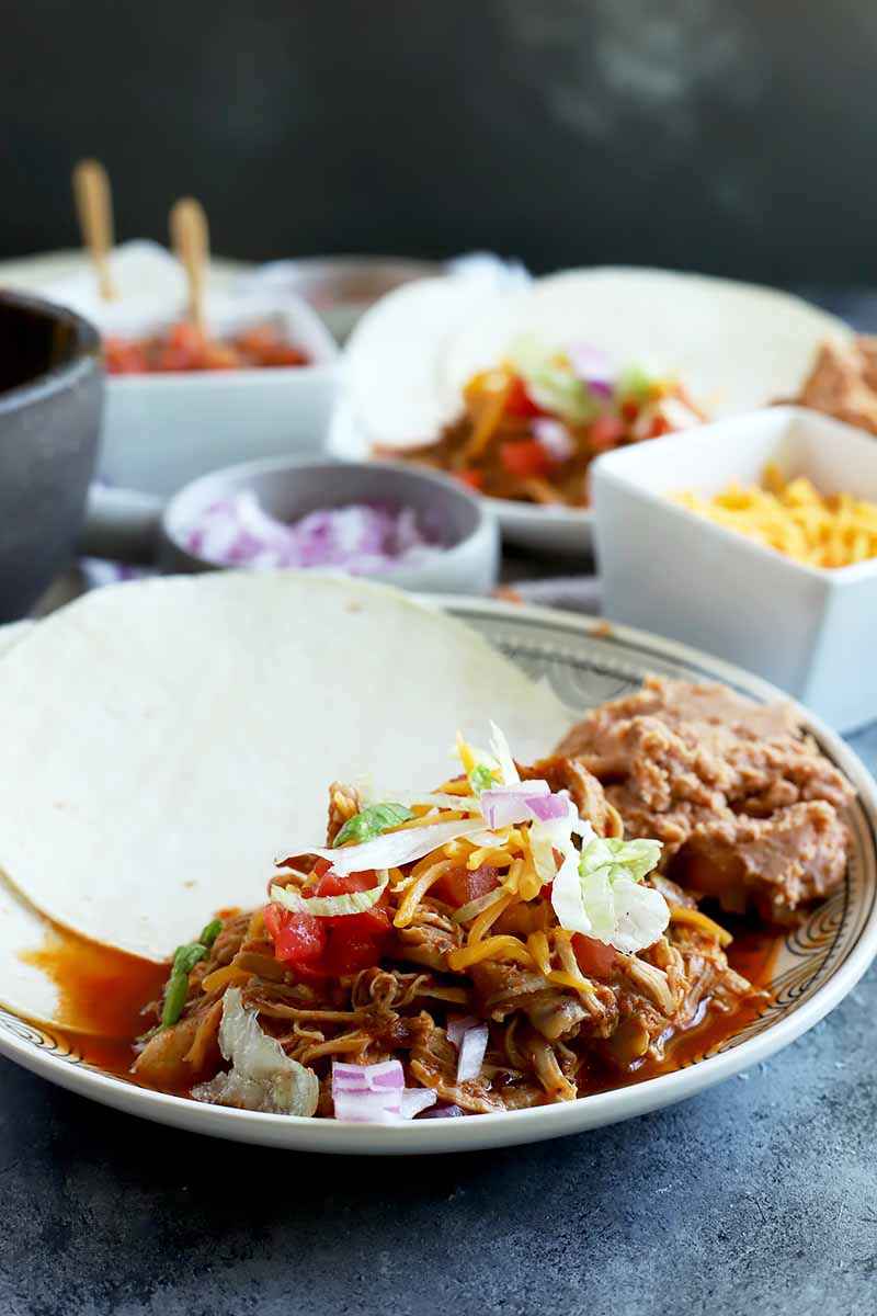 Vertical image of a plate with tortilla wraps, shredded poultry in red sauce, and assorted garnishes.