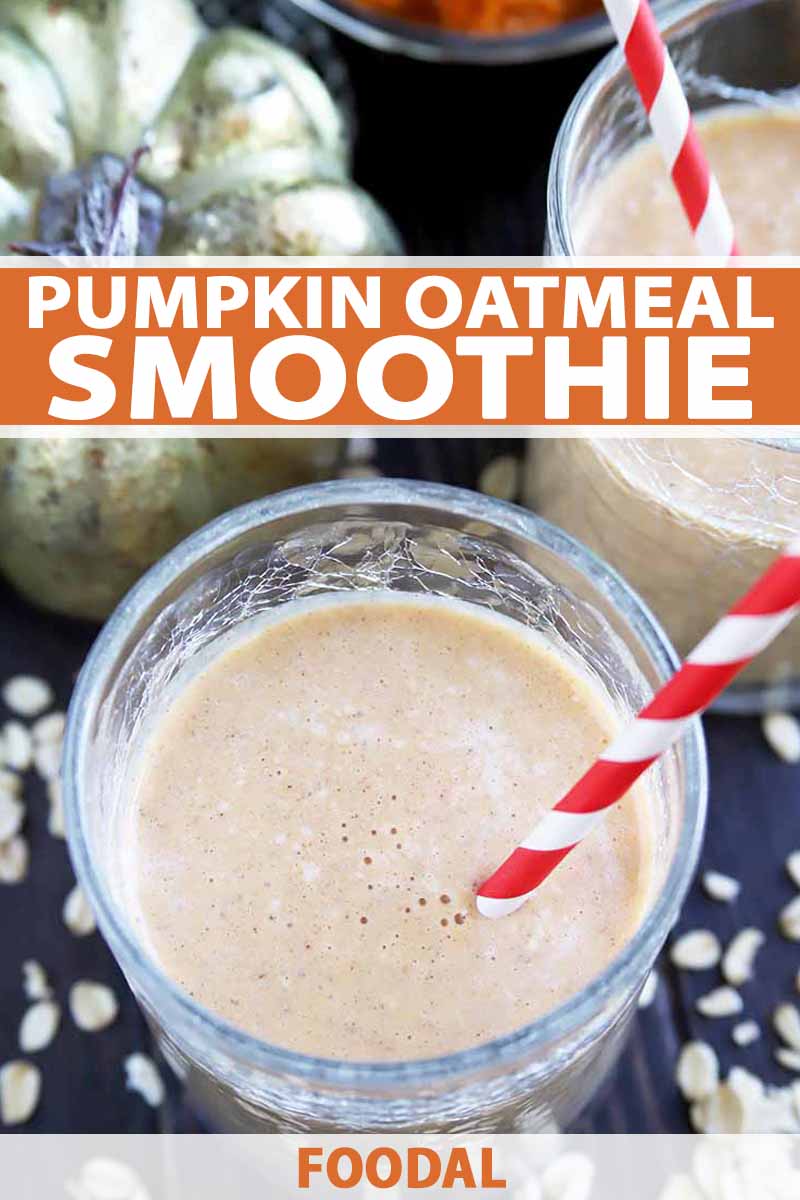 Vertical oblique overhead image of two glasses of pumpkin oatmeal smoothie with red and white striped paper straws, on a dark gray surface with scattered rolled oats, a small dish of squash puree, and a decorative gold plastic pumpkin, printed with orange and white text near the midpoint and at the bottom of the frame.