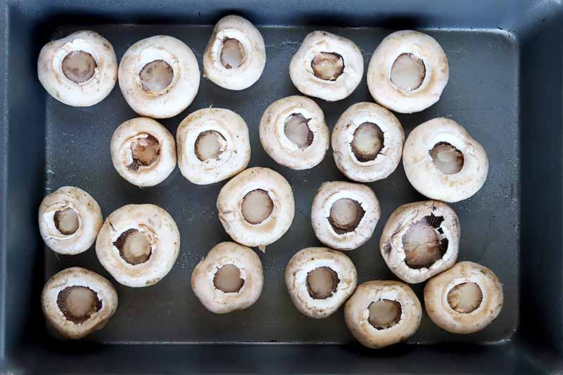 Horizontal image of raw button mushrooms with the stems removed.