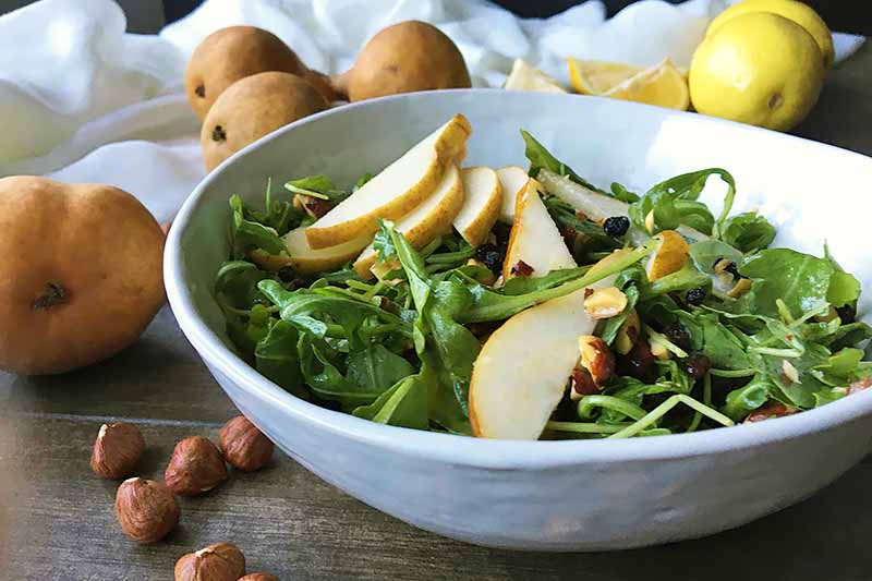 Horizontal image of a white bowl with arugula and pears