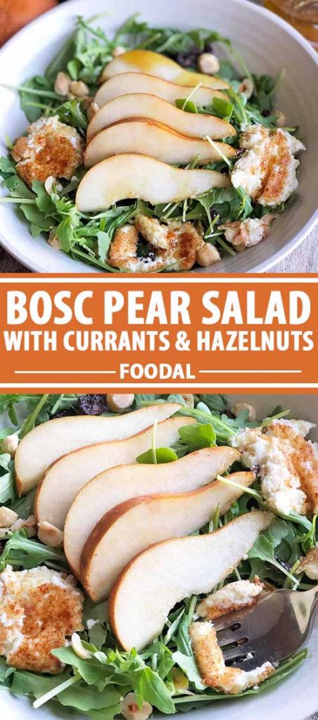 A collage of photos showing different views of a Bosc pear and arugula salad.